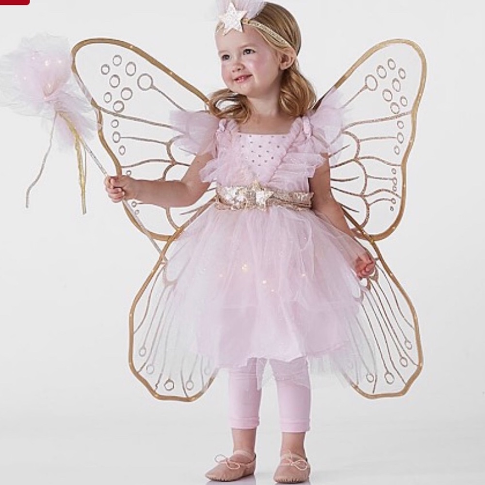 Pottery Barn Light Up Girls Fairy Costume
